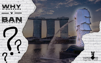 Alasan Negara Singapura Melarang Vape