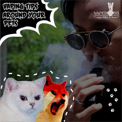 TIPS PENTING UNTUK VAPING SAAT DI SEKITAR HEWAN PELIHARAAN