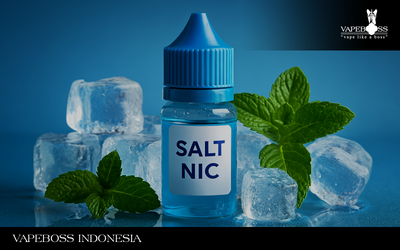 5+ Rekomendasi Liquid Salt Nic Dingin Terenak 2025!