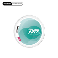 Moden Free Nicotine Pouch - Icy Mint Pouch Pack Of 18 - 12MG