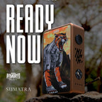 Hotcig R234 Box Mod Armored Beast Series Authentic by Hotcig
